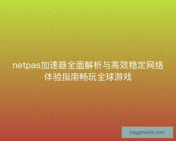 netpas加速器全面解析与高效稳定网络体验指南畅玩全球游戏
